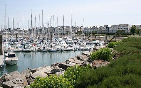 Sortie en pleine nature en bord de mer !